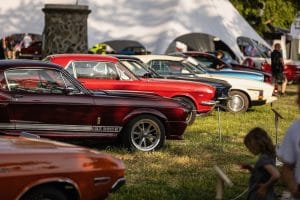 Legendy 2023 LowRes USA louka