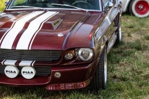 Legendy 2023 LowRes USA louka