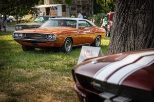 Legendy 2023 LowRes USA louka