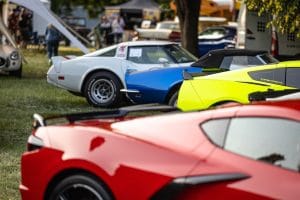 Legendy 2023 LowRes USA louka