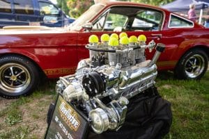 Legendy 2023 LowRes USA louka