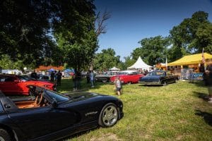 Legendy 2023 LowRes USA louka